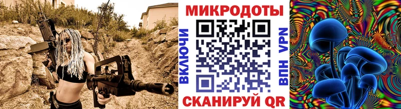 Купить закладки  Чайковский  Галлюциногенные грибы Psilocybe 