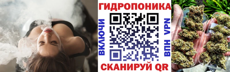 Купить закладки  Чайковский  Бошки марихуана MAZAR 